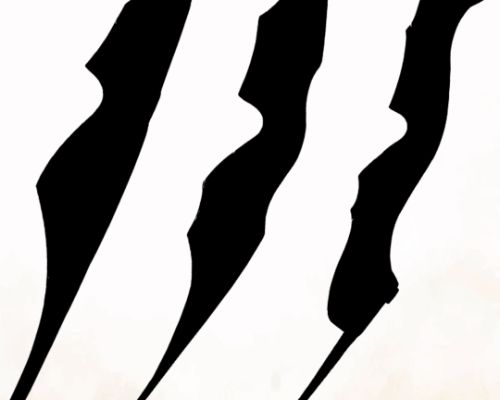 Jetzt die neuen White Feather Bögen entdecken!